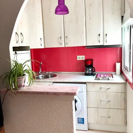דירה Pink *